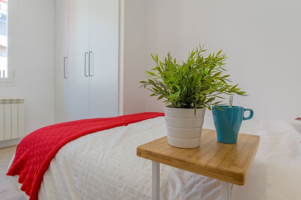 Private room in Madrid photo 5